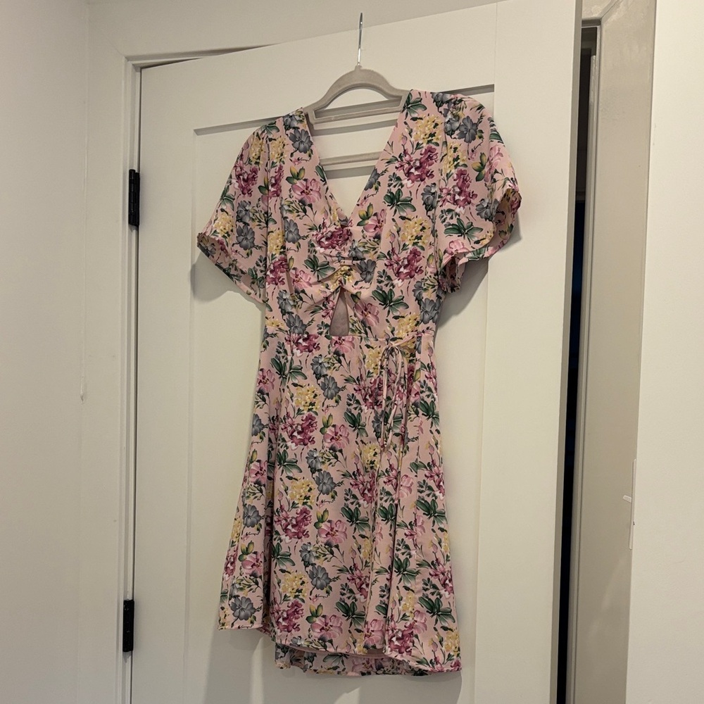 Floral V-Neck Mini Dress